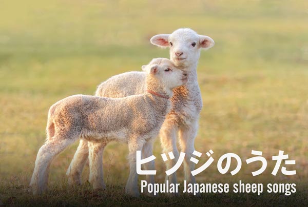 ヒツジのうた 羊に関連する童謡 音楽